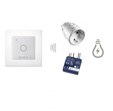 Somfy Ricevitore IZYMO Per Luci ON/OFF - Compatibile Con TaHoma, Alexa E Google Assistant - Controllo Da Smartphone O Voce - Facile Da Installare